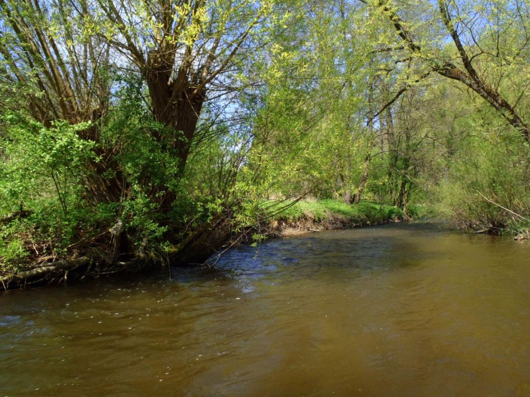 Schussen 1 Kreisfischereiverein Ravensburg e.V.